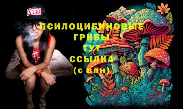 молекула духа Алзамай